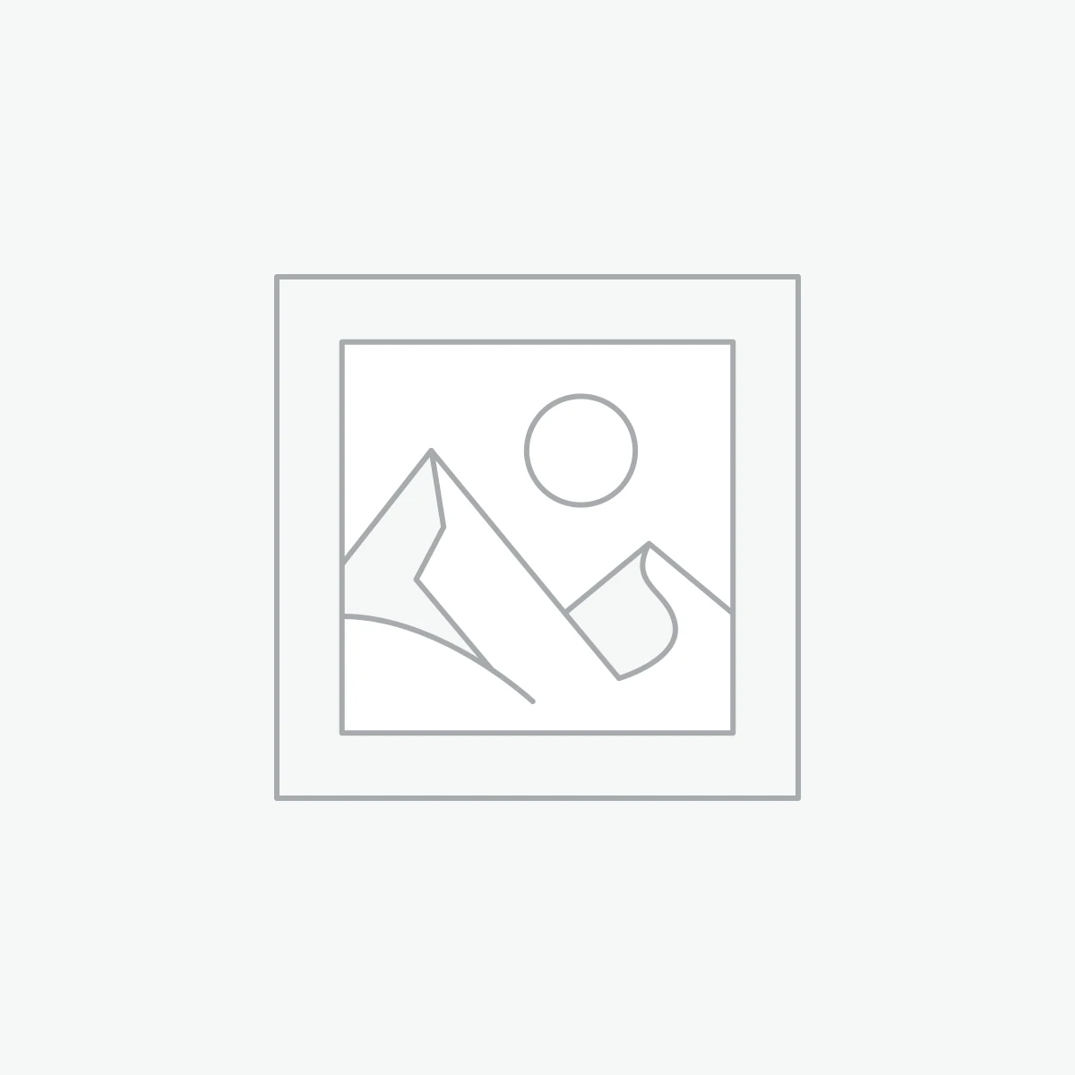 Precision Brake Rotor